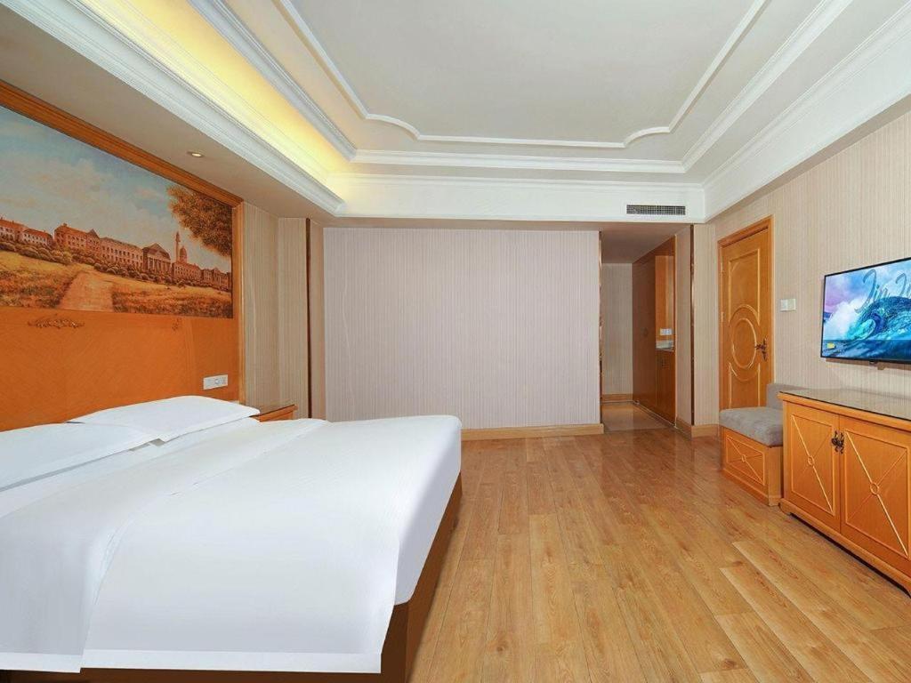 Vienna International Hotel Lhasa Potala Palace Екстериор снимка